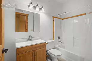 455 Lost Cyn Hts, Florissant, CO 80816 - Photo 34