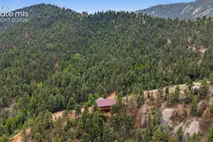 455 Lost Cyn Hts, Florissant, CO 80816 - Photo 42