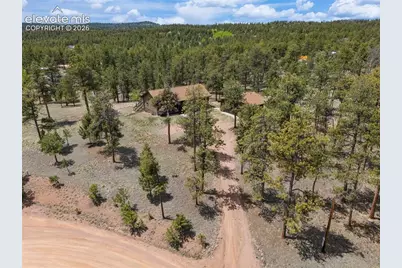 187 Thunder Ridge Road, Florissant, CO 80816 - Photo 6