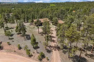 187 Thunder Ridge Rd, Florissant, CO 80816 - Photo 6