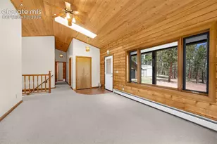 187 Thunder Ridge Rd, Florissant, CO 80816 - Photo 10