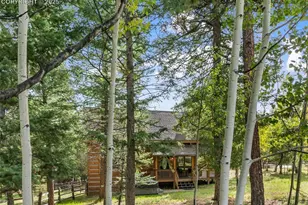 206 Pinto Dr, Woodland Park, CO 80863 - Photo 38