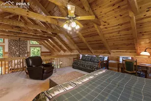 206 Pinto Dr, Woodland Park, CO 80863 - Photo 20