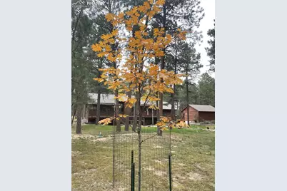 18050 Archers Drive, Monument, CO 80132 - Photo 40