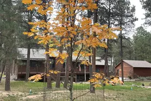 18050 Archers Dr, Monument, CO 80132 - Photo 40