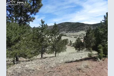 1087 Monarch Drive, Cripple Creek, CO 80813 - Photo 2