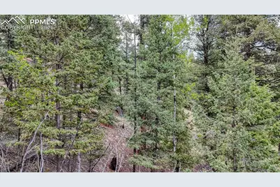 918 Pinon Lane, Florissant, CO 80816 - Photo 16