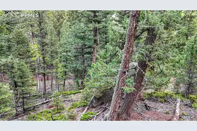 918 Pinon Lane, Florissant, CO 80816 - Photo 14