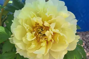 8875 Tranquil Knoll Ln, Colorado Springs, CO 80927 - Photo 38