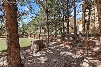 4466 College Park Court, Colorado Springs, CO 80918 - Photo 6