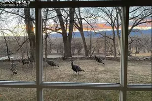 900 Pond Terrace, Fountain, CO 80817 - Photo 18