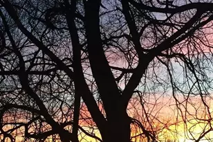 900 Pond Terrace, Fountain, CO 80817 - Photo 50