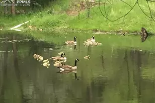 900 Pond Terrace, Fountain, CO 80817 - Photo 20