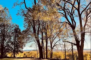 900 Pond Terrace, Fountain, CO 80817 - Photo 16