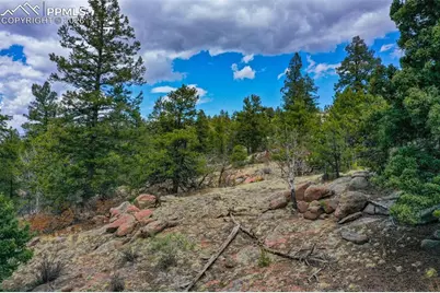 487 Pike View Lane, Florissant, CO 80816 - Photo 34