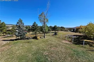 16435 Fairchild Ave, Monument, CO 80132 - Photo 26