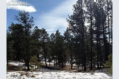 530 Columbine Road, Florissant, CO 80816 - Photo 10