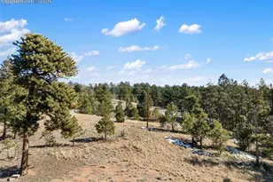 530 Columbine Rd, Florissant, CO 80816 - Photo 1