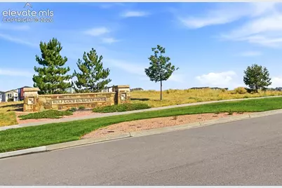 8946 Bella Flora Heights, Colorado Springs, CO 80924 - Photo 42