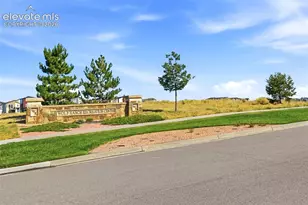 8946 Bella Flora Heights, Colorado Springs, CO 80924 - Photo 42
