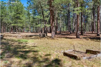 19665 Desparado Drive, Colorado Springs, CO 80908 - Photo 46