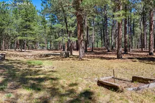 19665 Desparado Dr, Colorado Springs, CO 80908 - Photo 46