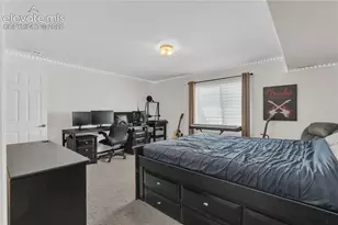 6769 Showhorse Ct, Colorado Springs, CO 80922 - Photo 30
