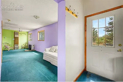 357 County Road 46, Florissant, CO 80816 - Photo 6
