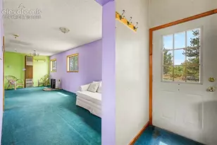 357 County Rd 46, Florissant, CO 80816 - Photo 6