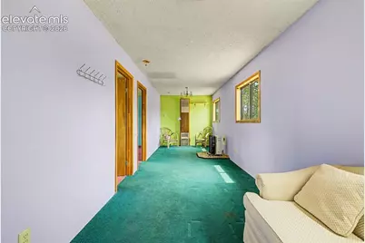 357 County Road 46, Florissant, CO 80816 - Photo 8