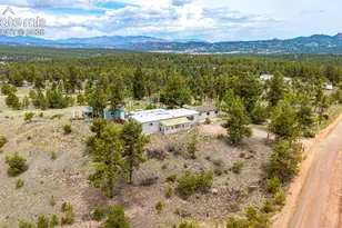 357 County Rd 46, Florissant, CO 80816 - Photo 40
