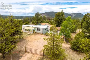 357 County Rd 46, Florissant, CO 80816 - Photo 46