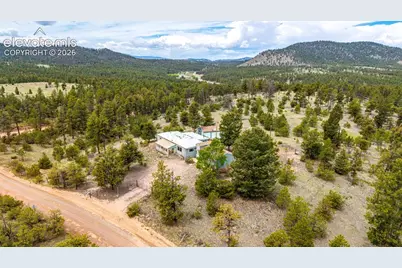 357 County Road 46, Florissant, CO 80816 - Photo 42