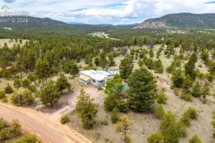 357 County Rd 46, Florissant, CO 80816 - Photo 42