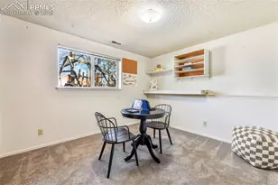 463 N Washington St, Monument, CO 80132 - Photo 30