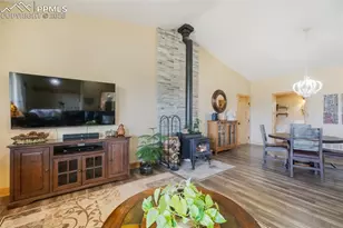 325 Spring Valley Dr, Florissant, CO 80816 - Photo 8