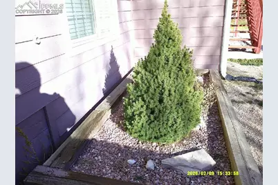 347 Caprice Court, Colorado Springs, CO 80921 - Photo 18