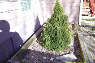 347 Caprice Ct, Colorado Springs, CO 80921 - Photo 18