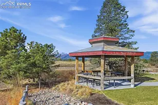 11915 Alydar Loop, Colorado Springs, CO 80921 - Photo 46