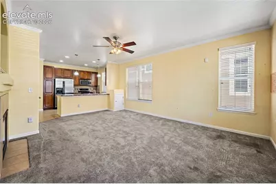 6585 Baytree Grove, Colorado Springs, CO 80923 - Photo 8