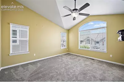 6585 Baytree Grove, Colorado Springs, CO 80923 - Photo 22