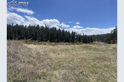 00 Wildhorn Road, Florissant, CO 80816 - Photo 1
