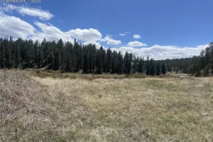 00 Wildhorn Rd, Florissant, CO 80816 - Photo 1