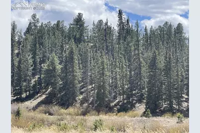 00 Wildhorn Road, Florissant, CO 80816 - Photo 2