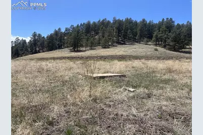00 Wildhorn Road, Florissant, CO 80816 - Photo 6