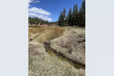 00 Wildhorn Road, Florissant, CO 80816 - Photo 8