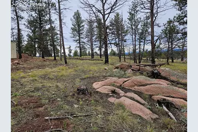 208 Eaglecrest Drive, Florissant, CO 80816 - Photo 16