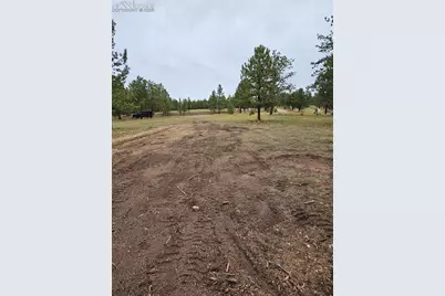 208 Eaglecrest Drive, Florissant, CO 80816 - Photo 4