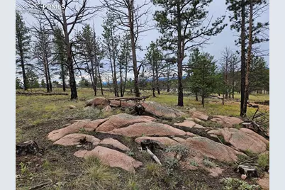 208 Eaglecrest Drive, Florissant, CO 80816 - Photo 18