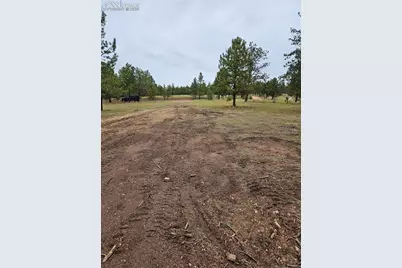 208 Eaglecrest Drive, Florissant, CO 80816 - Photo 6